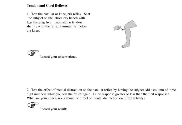 Solved Tendon and Cord Reflexes 1. Test the patellar or knee | Chegg.com