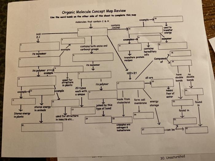 Concept Map Organic Molecules Solved Organic Molecule Concept Map Review Uw The Word On | Chegg.com