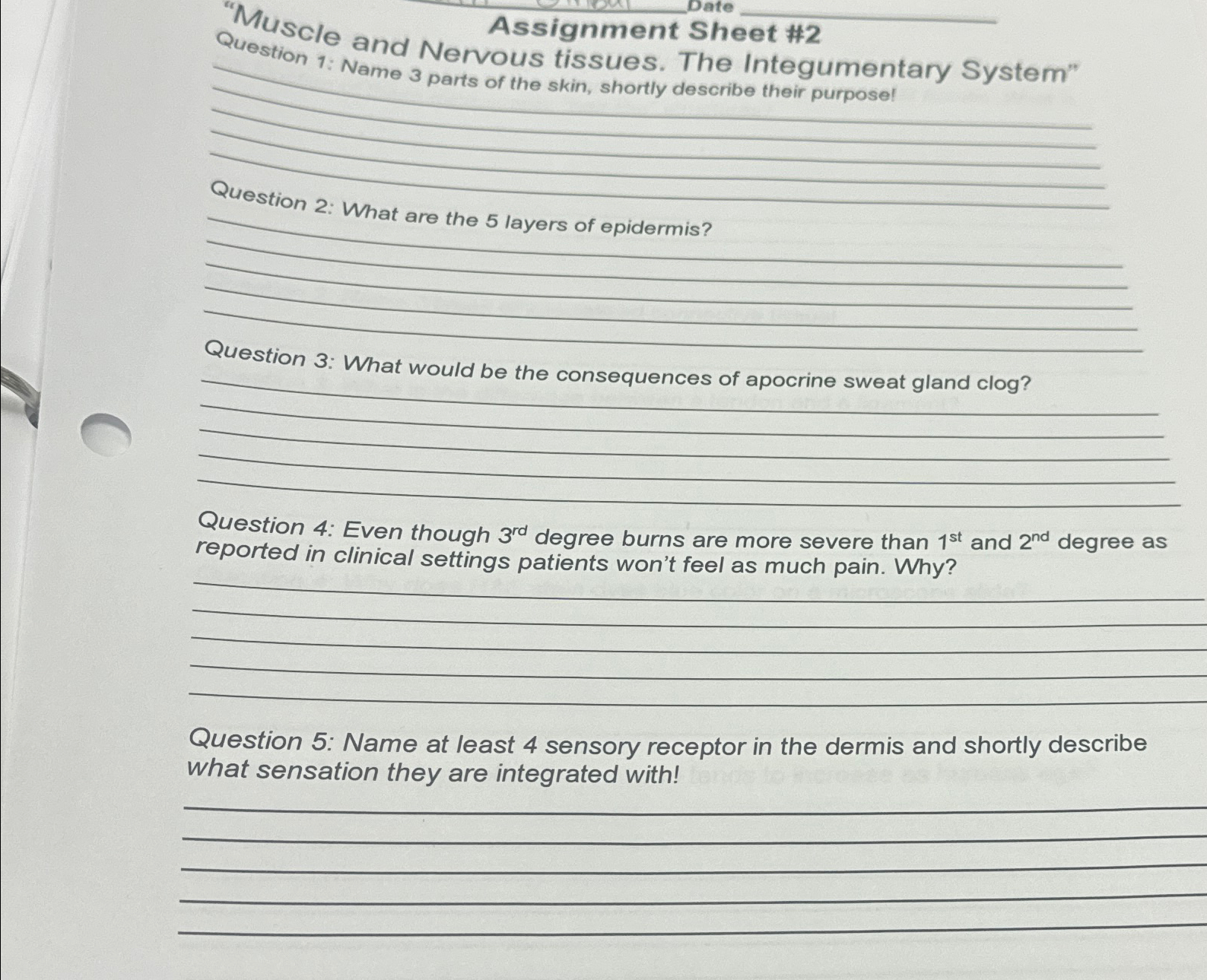 muscular system assignment sheet answers