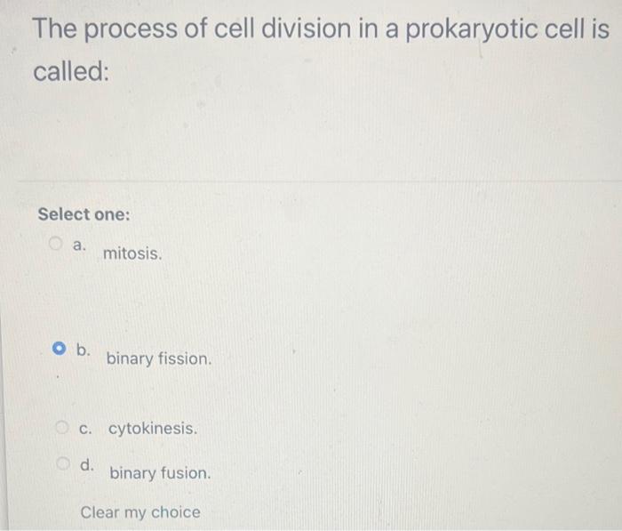Solved The process of cell division in a prokaryotic cell is | Chegg.com