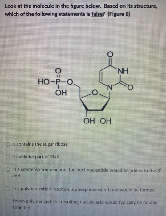 Solved Look at the molecule in the figure below. Based on | Chegg.com