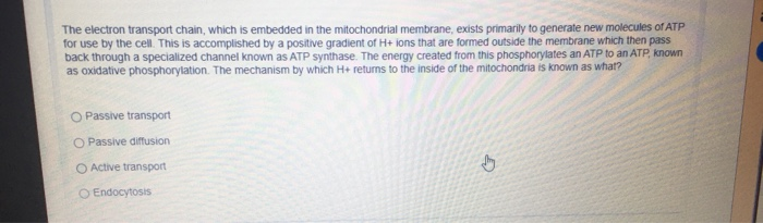 Solved The electron transport chain, which is embedded in | Chegg.com