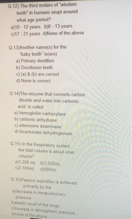 Solved Q.6) The blood flow through the kidney is special | Chegg.com