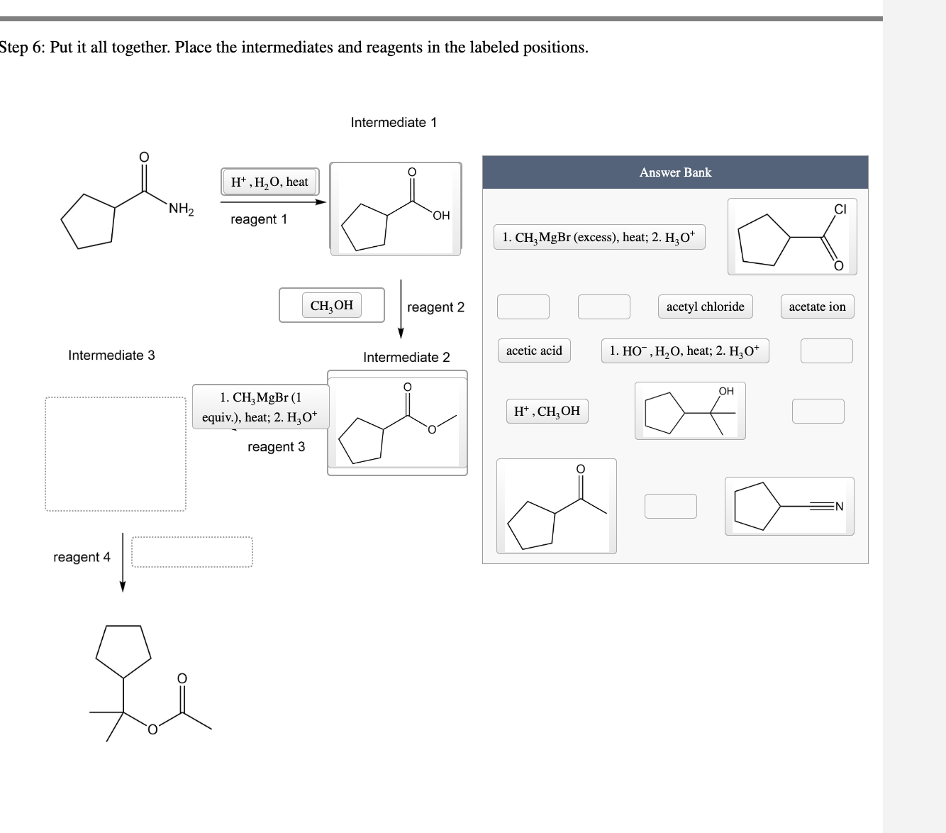 Solved Step 6: Put it all together. Place the intermediates | Chegg.com