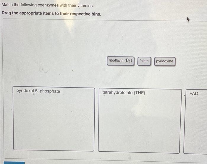 Solved Match The Following Coenzymes With Their Vitamins. | Chegg.com