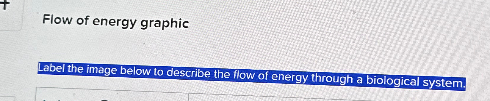 Solved Flow of energy graphicLabel the image below to | Chegg.com