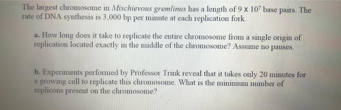 Solved The largest chromosome in Mischievous gremlinus has a | Chegg.com