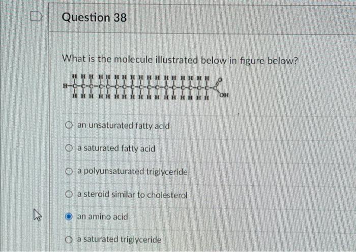 Solved Question 38 What is the molecule illustrated below in | Chegg.com