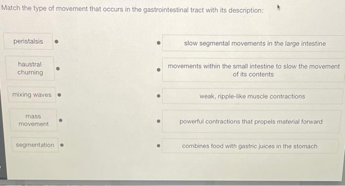 solved-match-the-type-of-movement-that-occurs-in-the-chegg