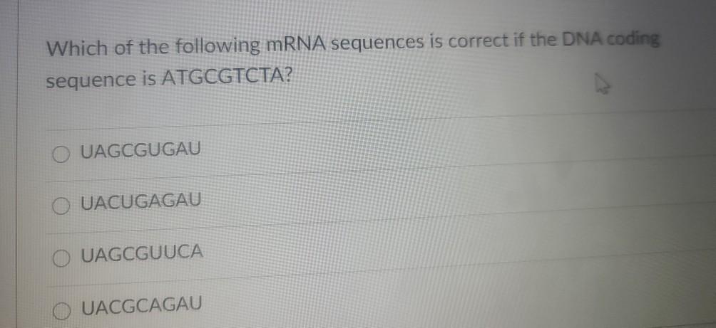 Solved Which of the following mRNA sequences is correct if | Chegg.com