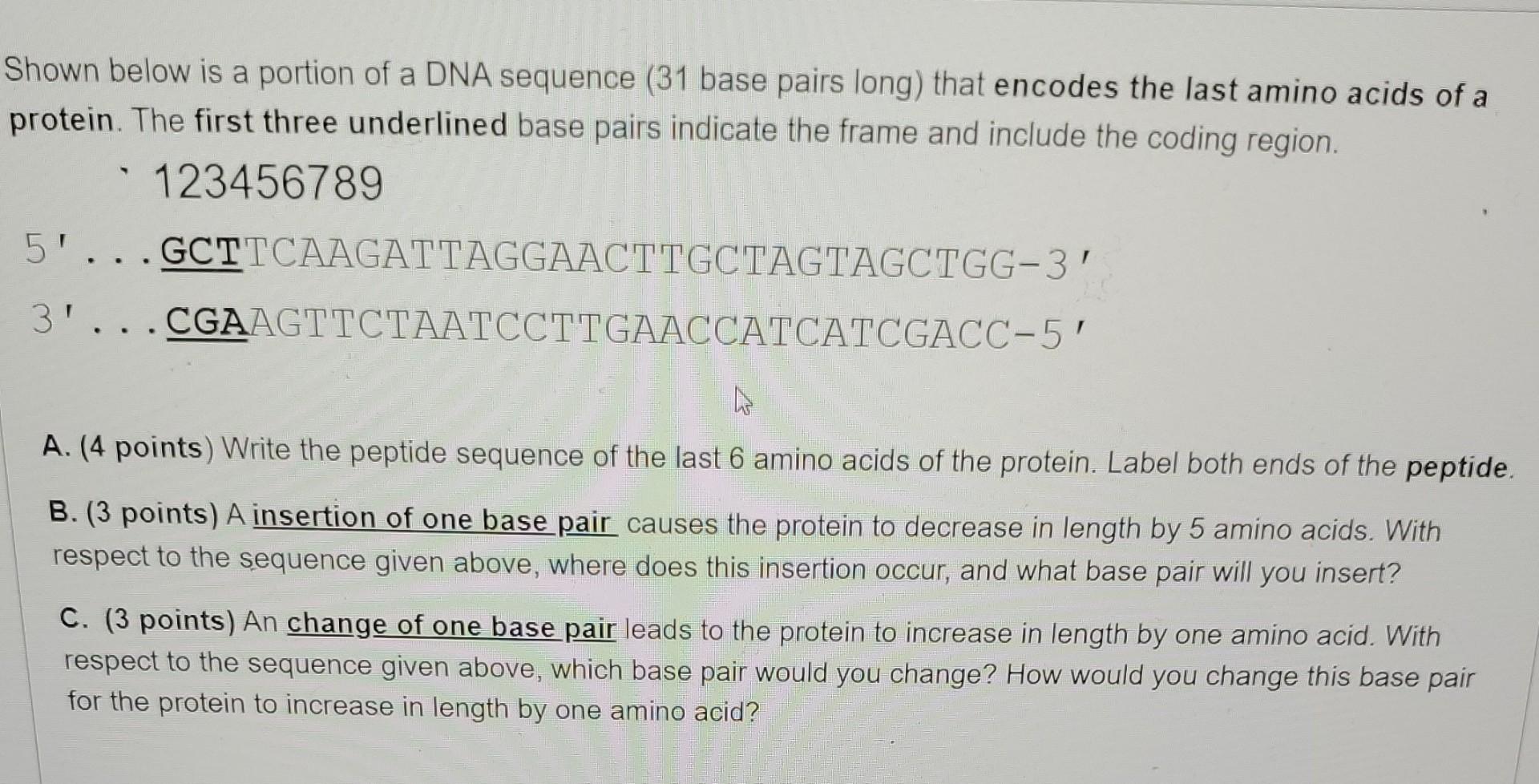 shown-below-is-a-portion-of-a-dna-sequence-31-base-chegg