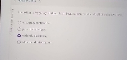 According to vygotsky children best sale learn by