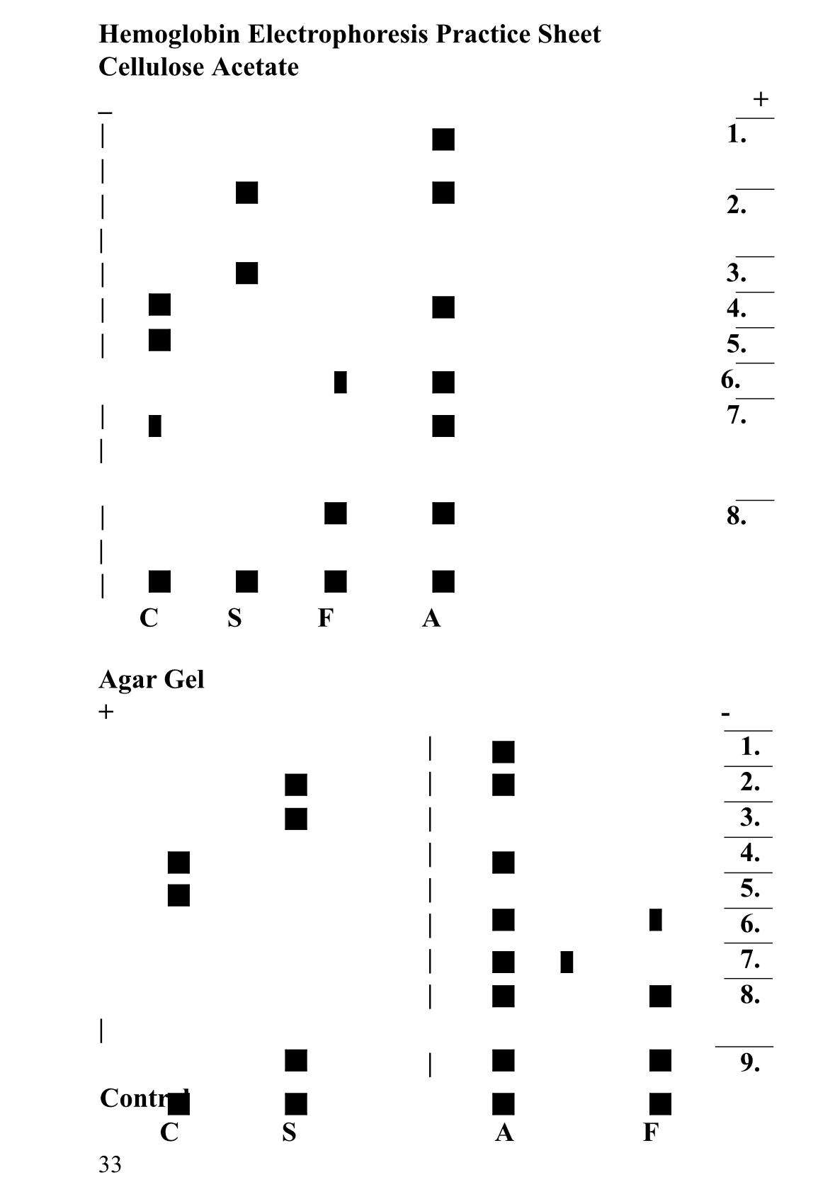 Solved Hemoglobin Electrophoresis Practice Sheet Cellulose