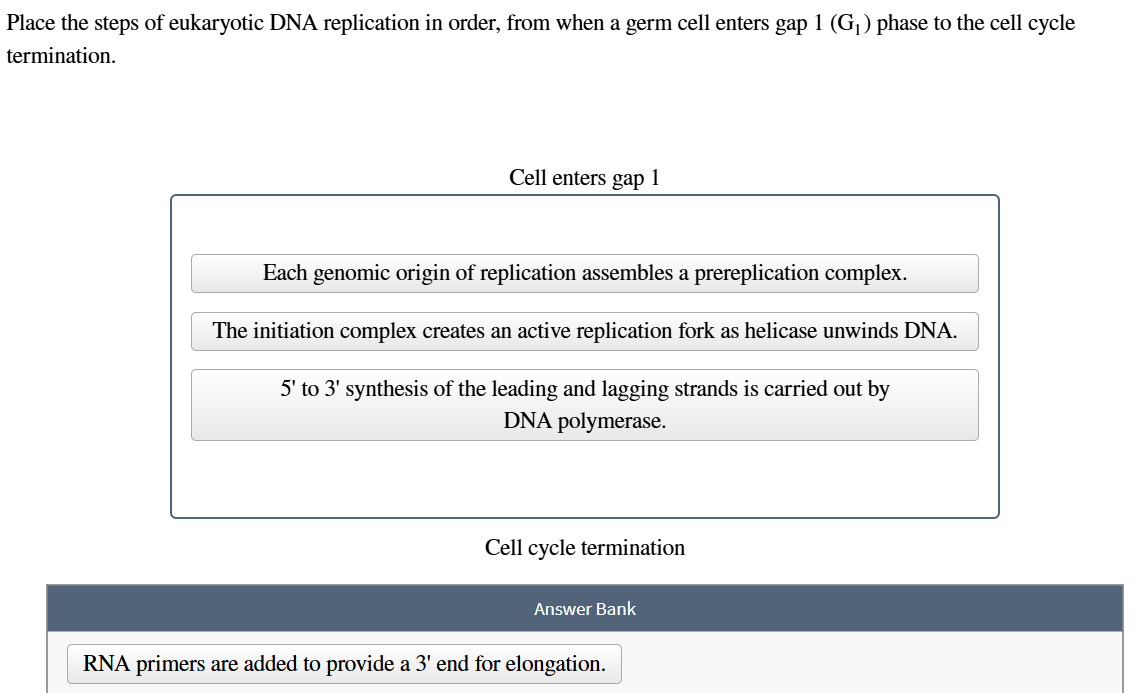 Solved Place the steps of eukaryotic DNA replication in | Chegg.com