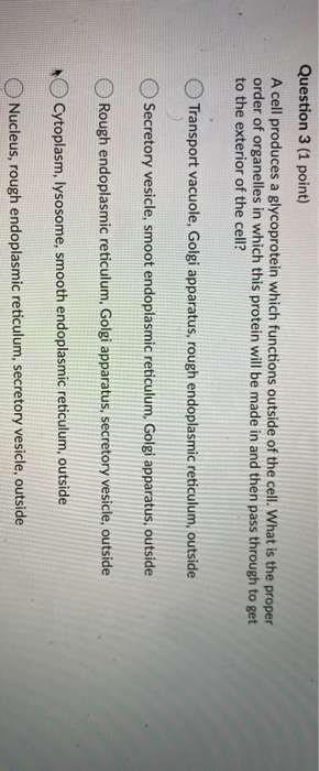 Solved Question 3 (1 point) A cell produces a glycoprotein | Chegg.com