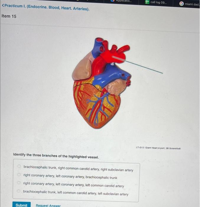Solved Identify the three branches of the highlighted
