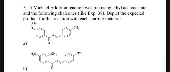 Reactionary essay to if aristotle ran general 07 image