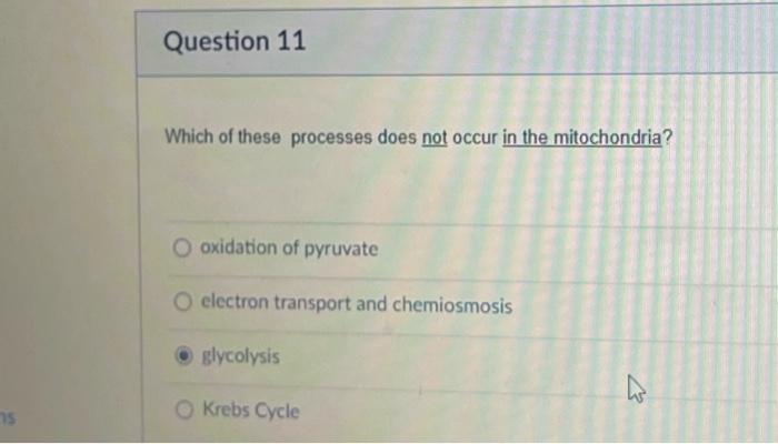 Solved "Q" and "C" in the mitochondrial electron transport | Chegg.com