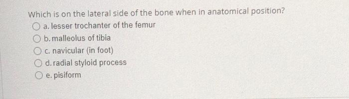 Solved which is on the lateral side of the bone when in | Chegg.com