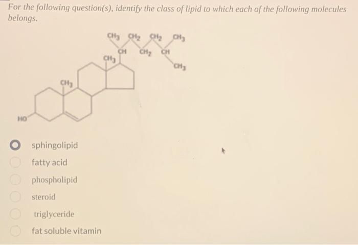 Solved For the following question(s), identify the class of | Chegg.com