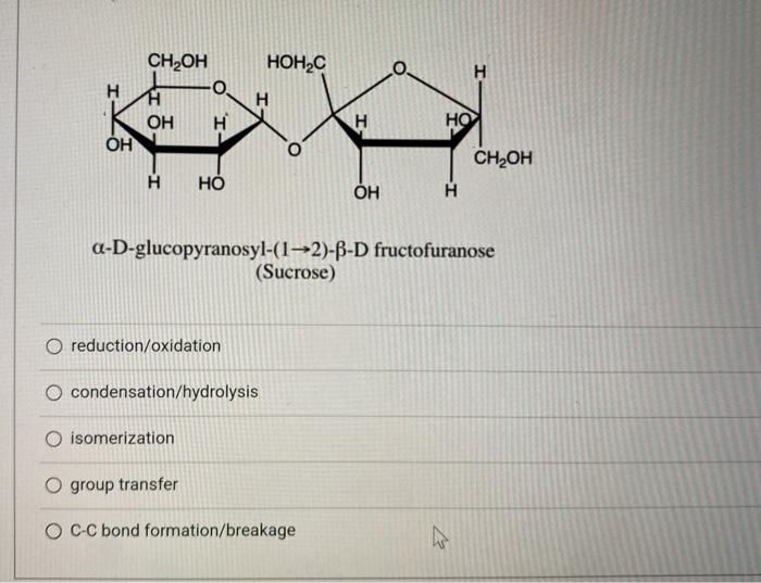 Solved The molecule shown below could be made by | Chegg.com