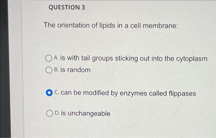 Solved could you please check to see if my answers are | Chegg.com