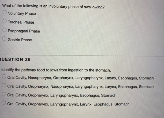 Solved Which of the following is not an accessory organ of