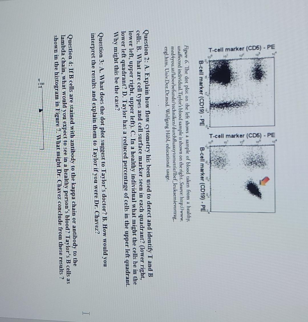 memory t cell cd marker