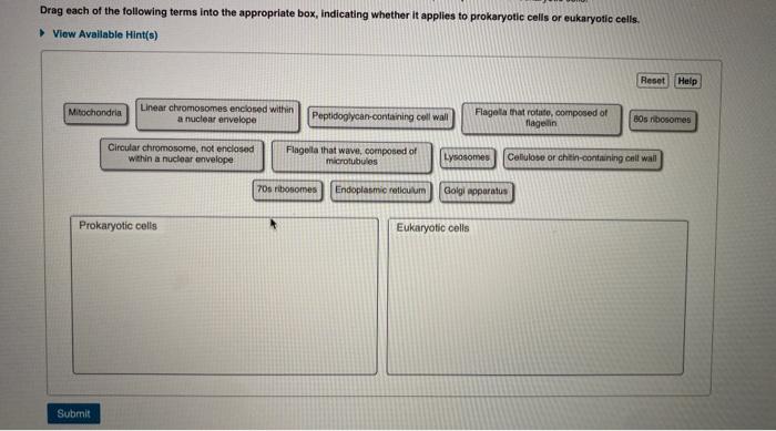 Solved Drag each of the following terms into the appropriate | Chegg.com