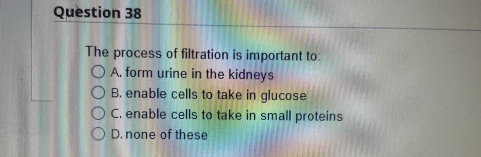 Solved Quèstion 38The process of filtration is important | Chegg.com