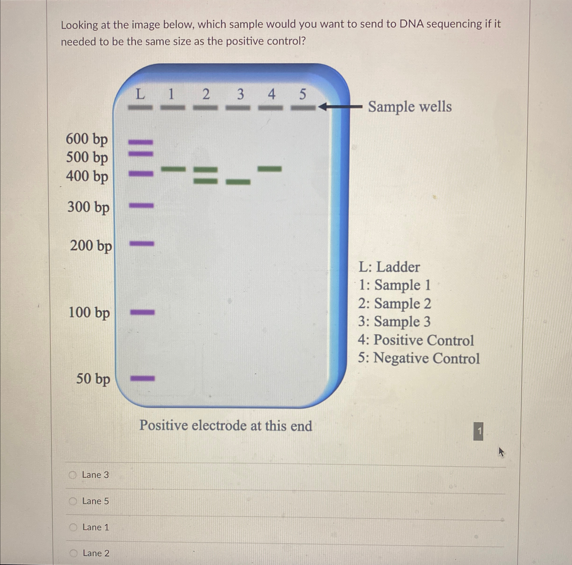 Solved Looking at the image below, which sample would you | Chegg.com
