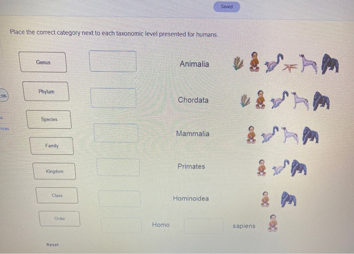 Solved Saved Place the correct category next to each | Chegg.com