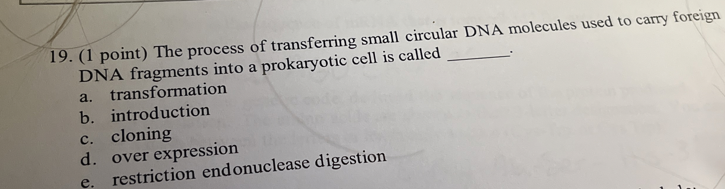 Solved The process of transferring small circular DNA | Chegg.com