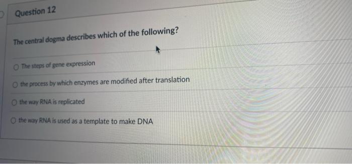 Solved Question 12 The central dogma describes which of the | Chegg.com