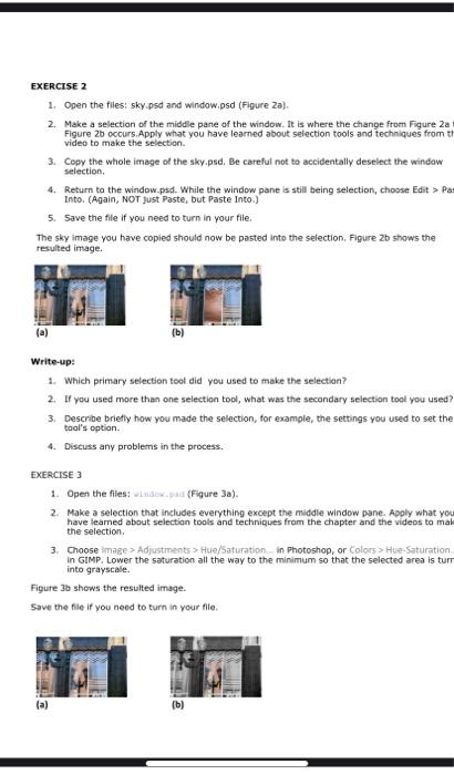 TASK A: Making Sense Out of Megapixels Objectives: 1. | Chegg.com