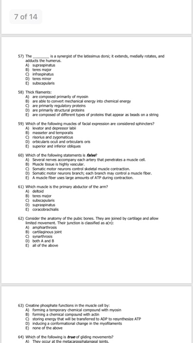 Solved 7 of 14 57) The is a synergist of the latissimus | Chegg.com