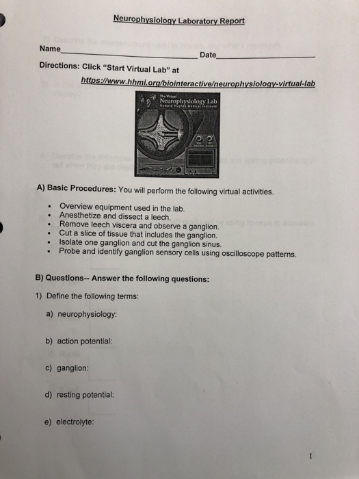 Neurophysiology lab report 05 picture