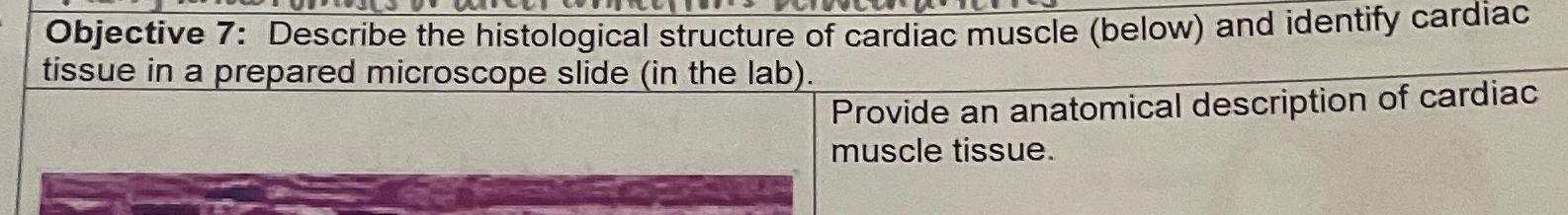Solved Objective 7: Describe the histological structure of | Chegg.com