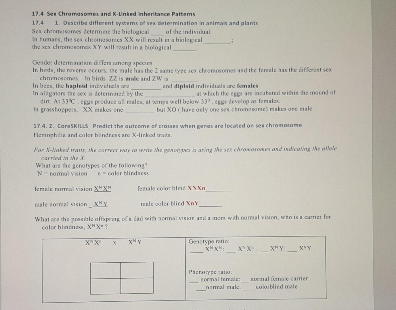 Solved 17.4 Sex Chromosomes and X-Linked Inheritance | Chegg.com