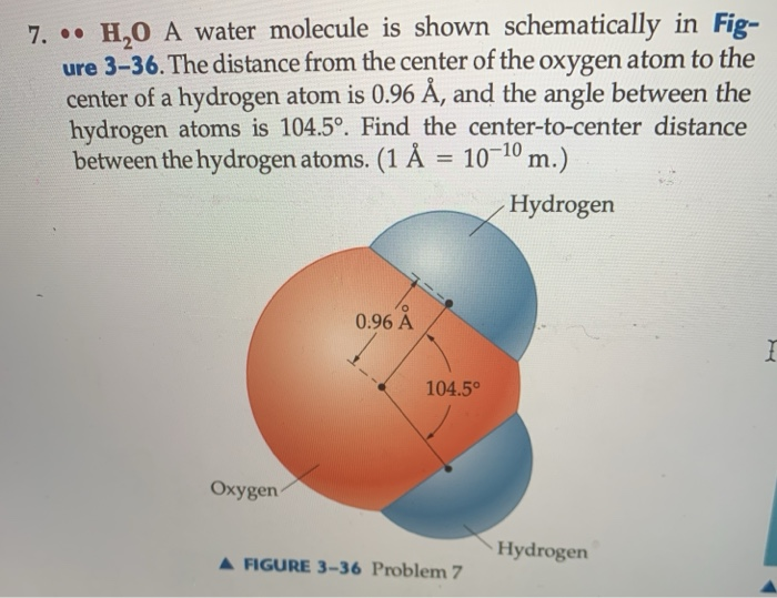 Solved 7. • H,O A water molecule is shown schematically in
