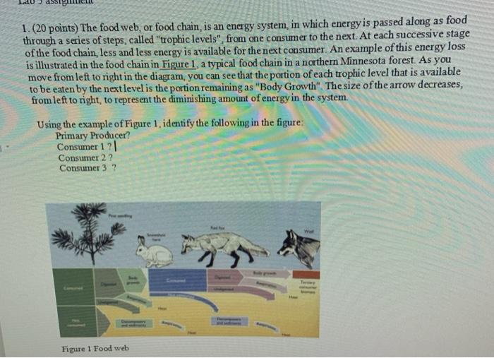 Solved 1.(20 points) The food web, or food chain, is an 