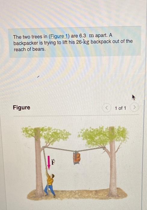 Solved The Two Trees In (Figure 1) Are 6.3 M Apart. A | Chegg.com