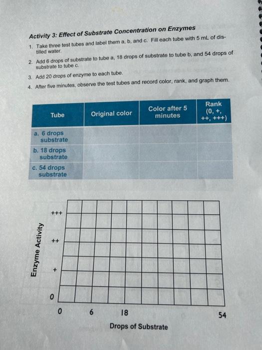 Activity 3: Effect of Substrate Concentration on | Chegg.com