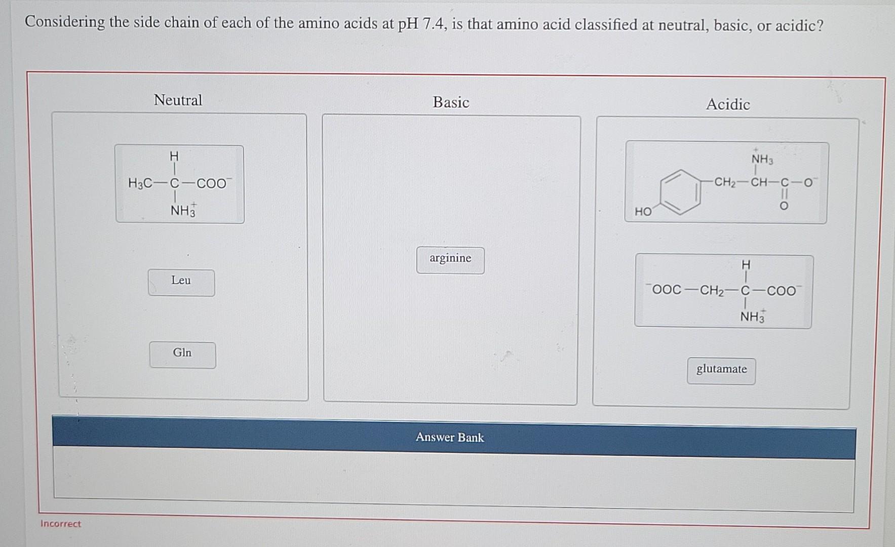 Solved Considering the side chain of each of the amino acids