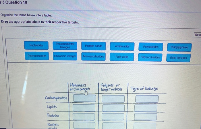 drag the appropriate labels to their respective targets. drag the appropriate labels to their respective targets.