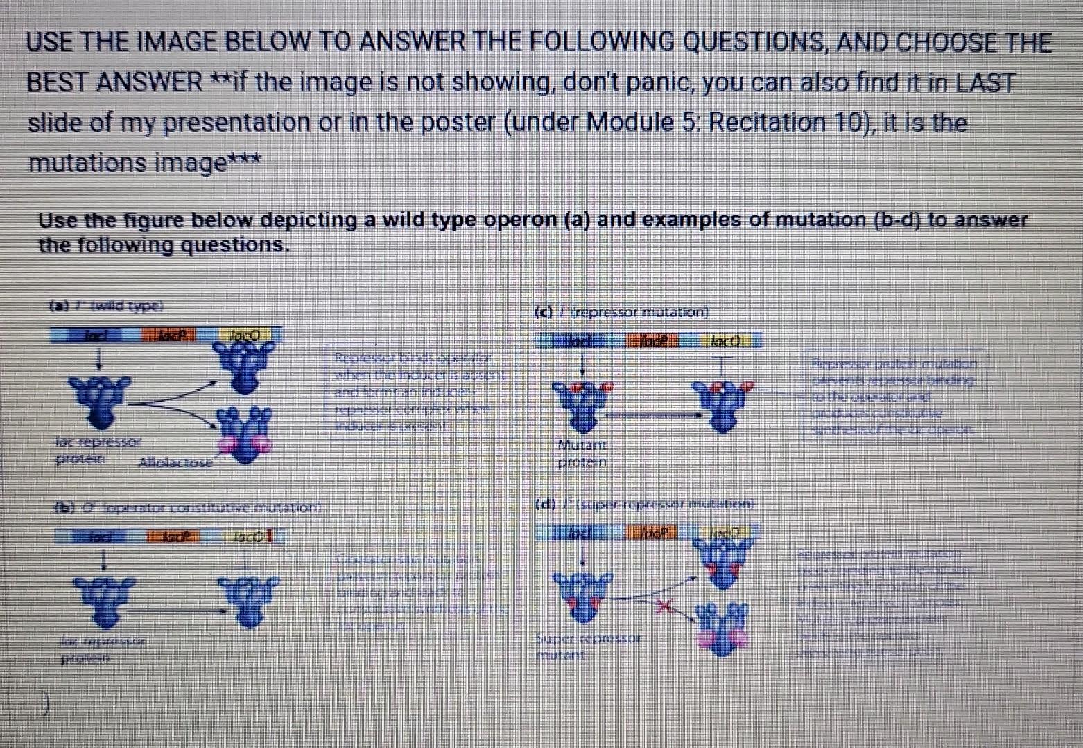 Solved USE THE IMAGE BELOW TO ANSWER THE FOLLOWING | Chegg.com