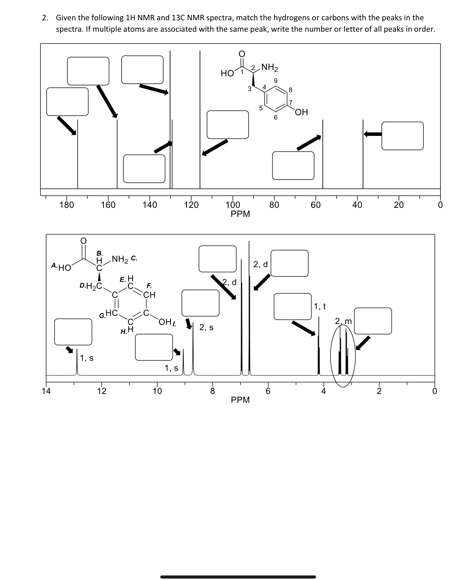 Given the following 1H ﻿NMR and 13C ﻿NMR spectra, | Chegg.com