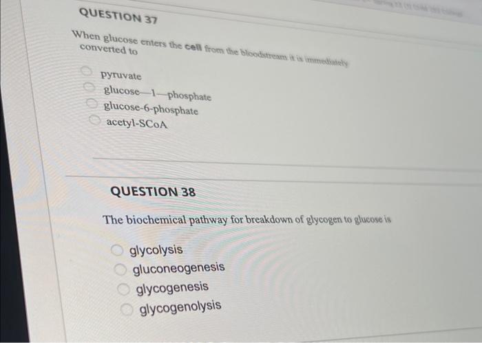 Solved QUESTION 37 When Glucose Enters The Cell From The | Chegg.com