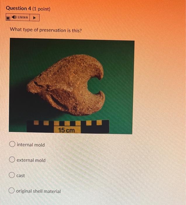 Solved The diagram below shows the side view of a bivalve | Chegg.com