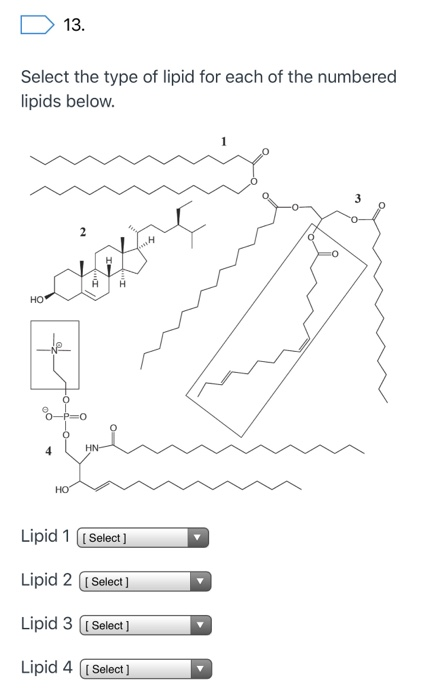 Solved D 13. Select the type of lipid for each of the | Chegg.com